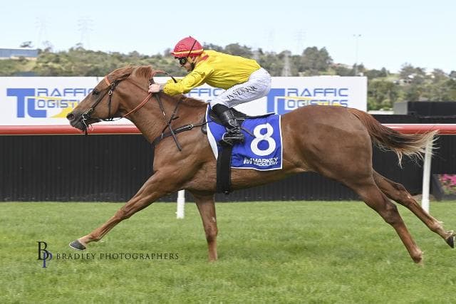 Avatar-HorsesAvailable