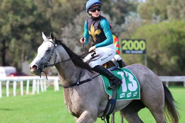 Travers dreaming of Guineas glory with $1000 purchase