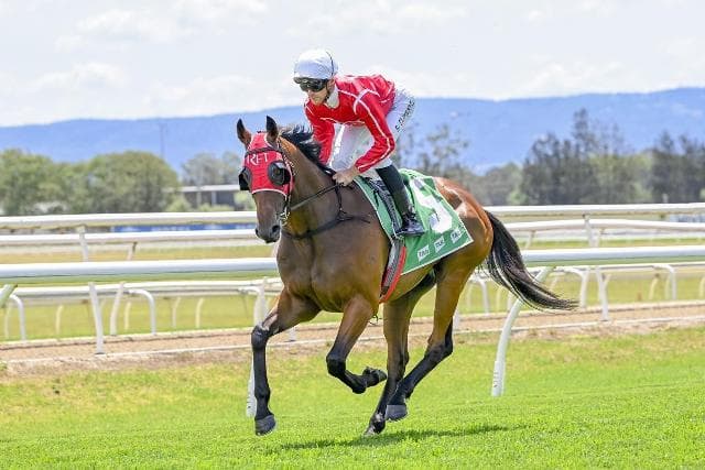 Avatar-HorsesAvailable