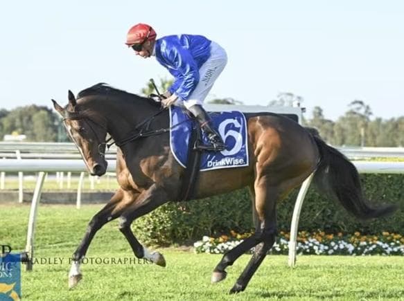 Avatar-HorsesAvailable