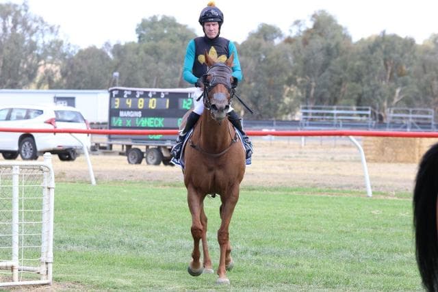 MTR sets two-pronged attack on Cootamundra Picnic Cup