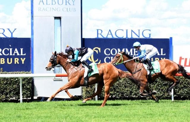 Saturday Double Continues Strong Season
