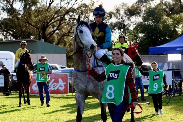 Travers dreaming of Melbourne feature for grey galloper Seasmoke