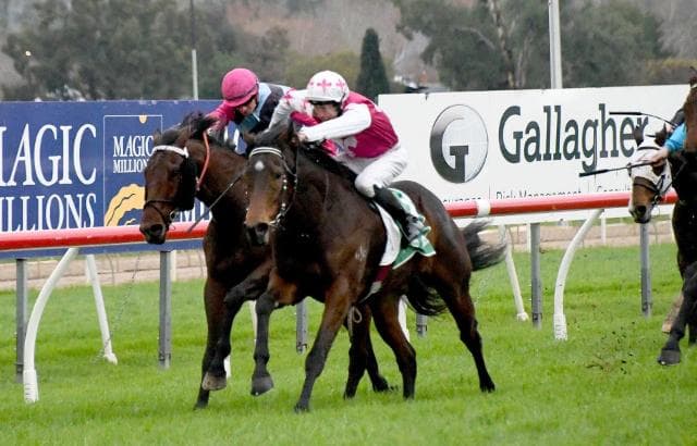 Travers and Boudvillain look to continue their success at Gundagai