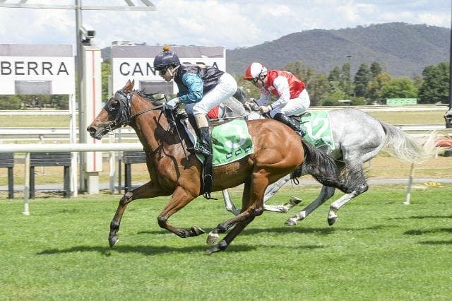 Mathrin well-placed in Wagga Ladies Day Cup