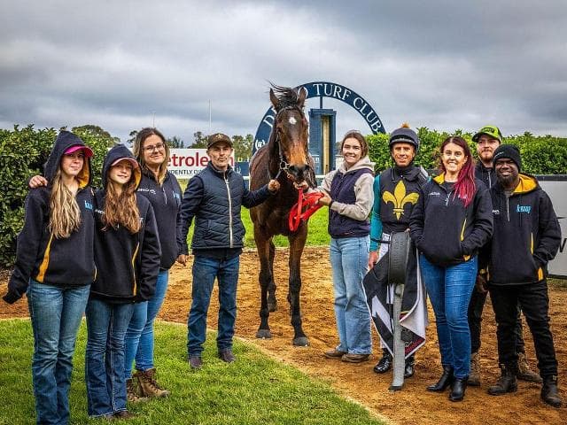 MTR shows force Dubbo