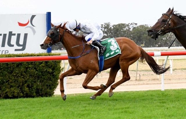 MTR celebrates best year ever